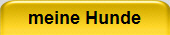 meine Hunde