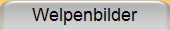Welpenbilder