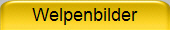 Welpenbilder