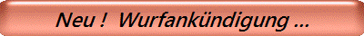 Neu !  Wurfankündigung ...