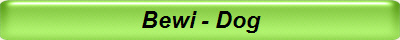 Bewi - Dog