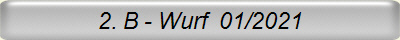2. B - Wurf  01/2021