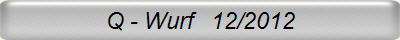 Q - Wurf   12/2012