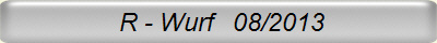  R - Wurf   08/2013