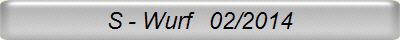 S - Wurf   02/2014
