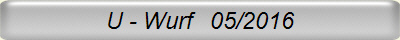 U - Wurf   05/2016