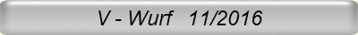 V - Wurf   11/2016