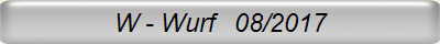 W - Wurf   08/2017