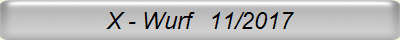 X - Wurf   11/2017