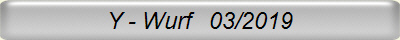 Y - Wurf   03/2019