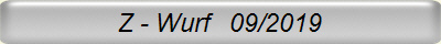 Z - Wurf   09/2019